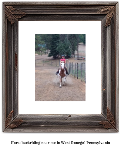 horseback riding near me in West Donegal, Pennsylvania